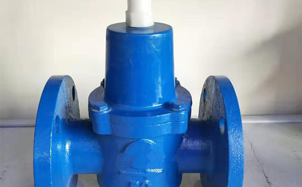 可調式減壓閥,YX741X可調式減壓穩壓閥實物圖2 可調式減壓閥,YX741X可調式減壓穩壓閥實物圖