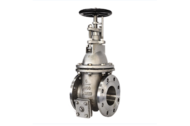 船用法蘭閘閥圖片圖紙